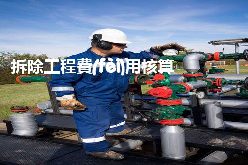 拆除工程費(fèi)用核算：精準(zhǔn)預(yù)算，保障利潤(rùn)